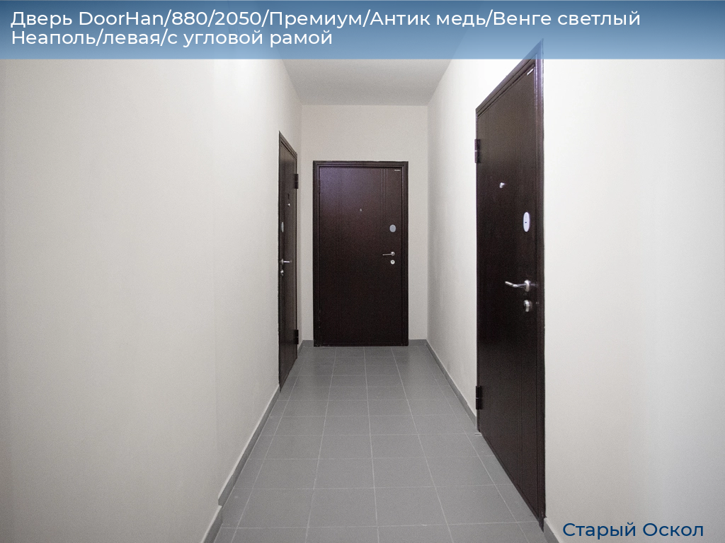 Дверь DoorHan/880/2050/Премиум/Антик медь/Венге светлый Неаполь/левая/с угловой рамой, oskol.doorhan.ru