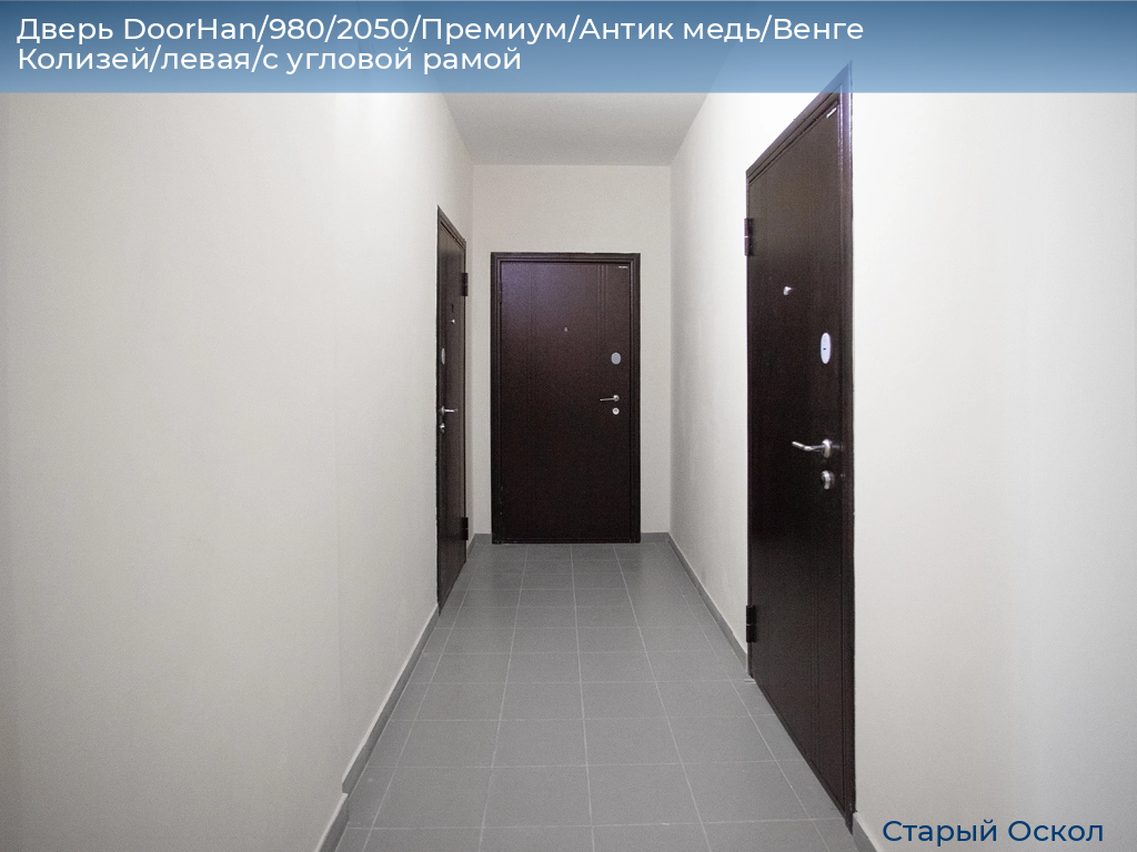 Дверь DoorHan/980/2050/Премиум/Антик медь/Венге Колизей/левая/с угловой рамой, oskol.doorhan.ru