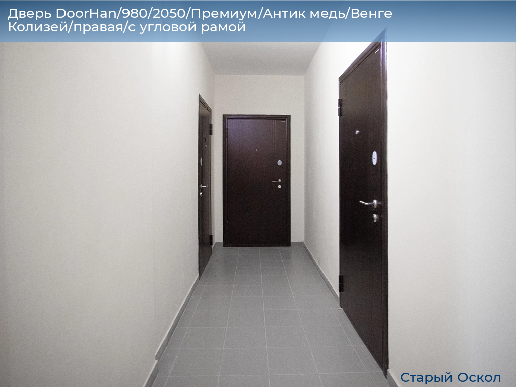 Дверь DoorHan/980/2050/Премиум/Антик медь/Венге Колизей/правая/с угловой рамой, oskol.doorhan.ru