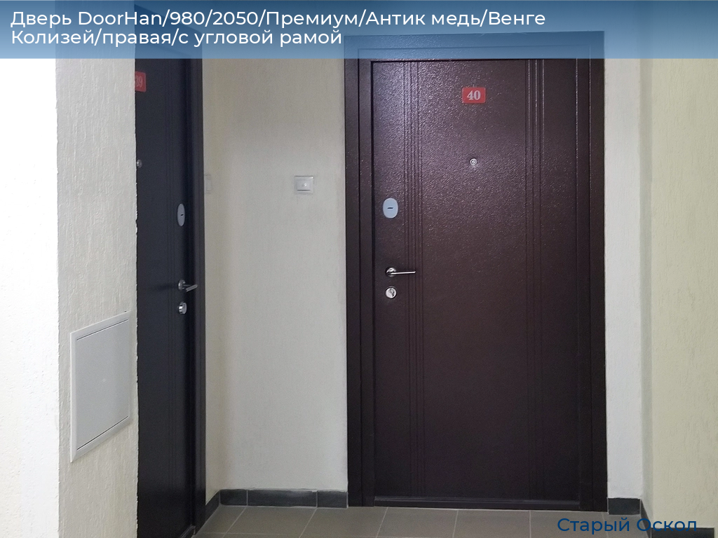 Дверь DoorHan/980/2050/Премиум/Антик медь/Венге Колизей/правая/с угловой рамой, oskol.doorhan.ru