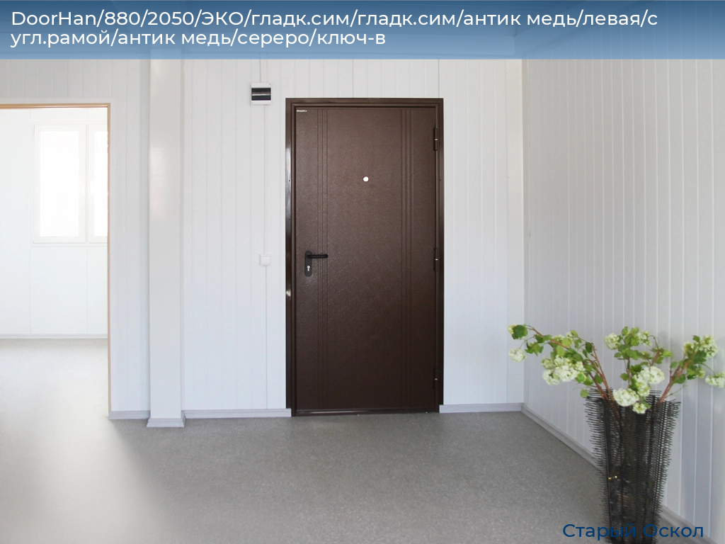 DoorHan/880/2050/ЭКО/гладк.сим/гладк.сим/антик медь/левая/с угл.рамой/антик медь/сереро/ключ-в, oskol.doorhan.ru